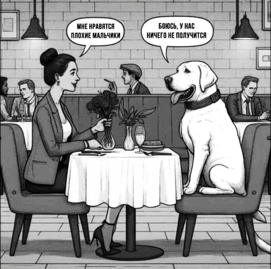 – Мне нравятся плохие мальчики.
– Боюсь, у нас ничего не получится.