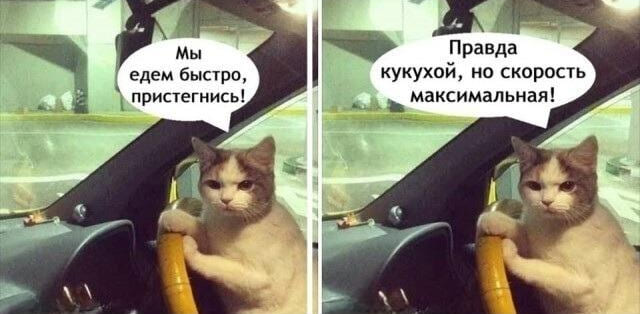 – Мы едем быстро, пристегнись! Правда кукухой, но скорость максимальная!