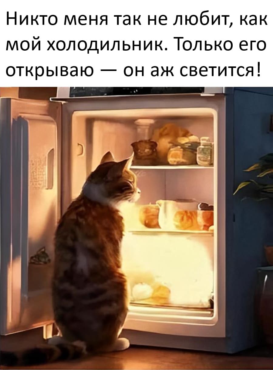Никто меня так не любит, как мой холодильник. Только его открываю — он аж светится!