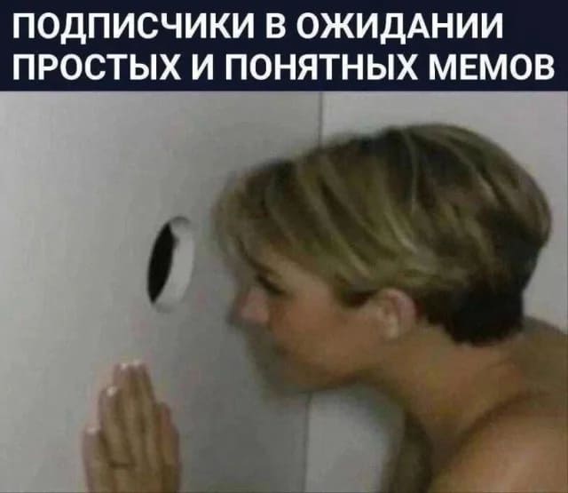 *ПОДПИСЧИКИ В ОЖИДАНИИ ПРОСТЫХ И ПОНЯТНЫХ МЕМОВ*