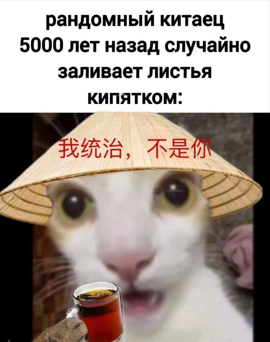 Рандомный китаец 5000 лет назад случайно заливает листья кипятком: Вау!