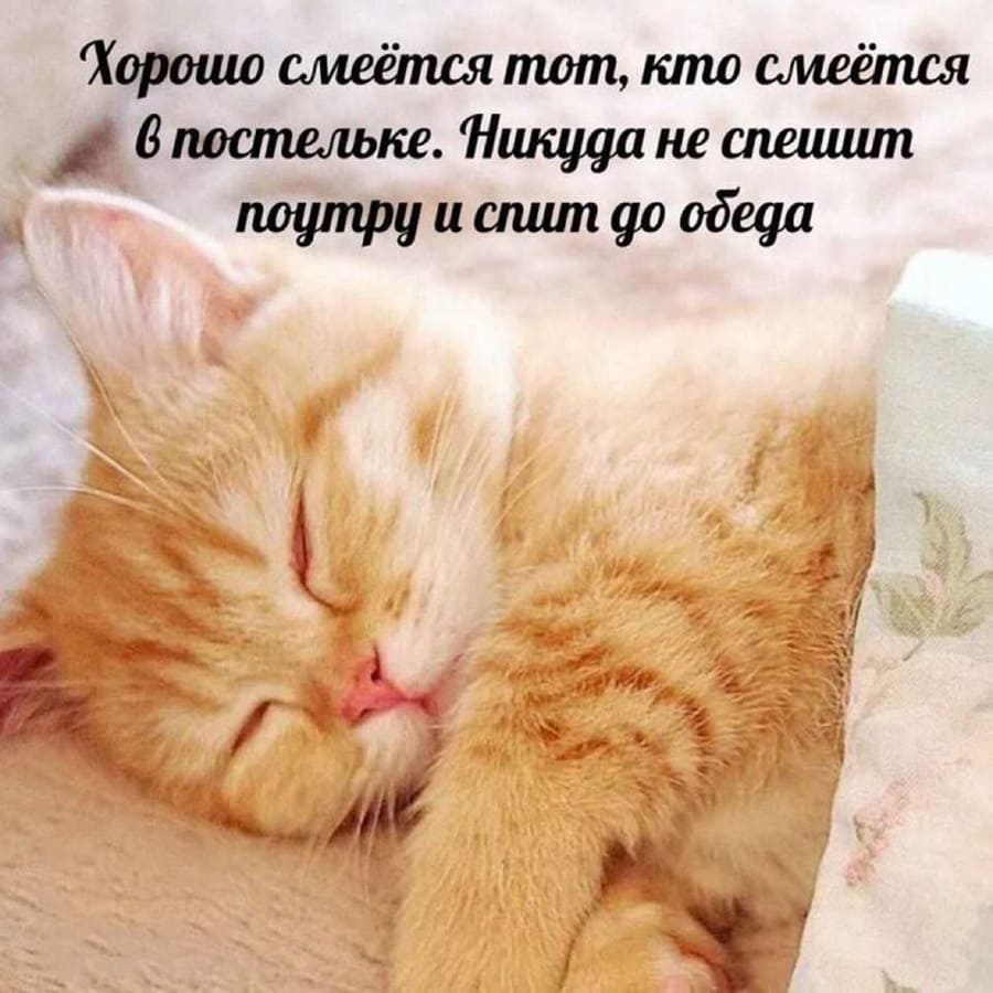 Хорошо смеётся тот, кто смеётся в постельке. Никуда не спешит поутру и спит до обеда.
