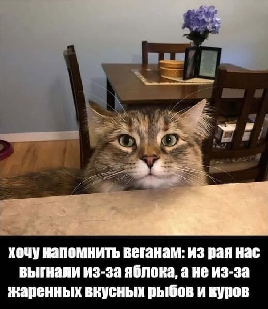 Хочу напомнить веганам: из Рая нас выгнали из-за яблока, а не из-за жаренных вкусных рыбов и куров.