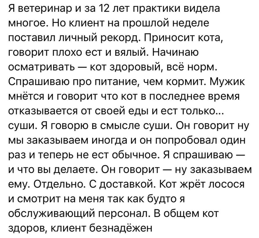 Я ветеринар и за 12 лет практики видела многое. Но клиент на прошлой неделе поставил личный рекорд. Приносит кота, говорит плохо ест и вялый. Начинаю осматривать — кот здоровый, всё норм. Спрашиваю про питание, чем кормит. Мужик мнётся и говорит что кот в последнее время отказывается от своей еды и ест только... суши. Я говорю в смысле суши. Он говорит ну мы заказываем иногда и он попробовал один раз и теперь не ест обычное. Я спрашиваю — и что вы делаете. Он говорит — ну заказываем ему. Отдельно. С доставкой. Кот жрёт лосося и смотрит на меня так как будто я обслуживающий персонал. В общем кот здоров, клиент безнадёжен.