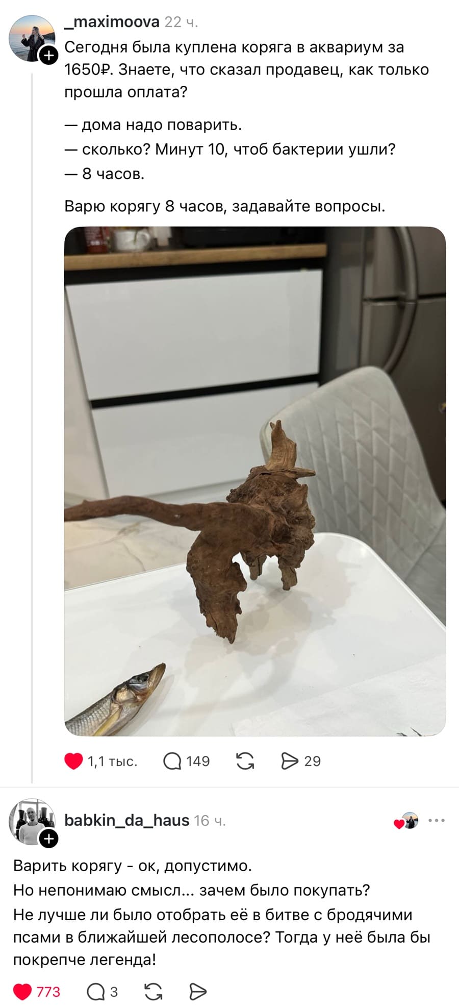 – Сегодня была куплена коряга в аквариум за 1650. Знаете, что сказал продавец, как только прошла оплата?
— дома надо поварить.
— сколько? Минут 10, чтоб бактерии ушли?
— 8 часов.
Варю корягу 8 часов, задавайте вопросы.

– Варить корягу — ок, допустимо. Но непонимаю смысл... зачем было покупать? Не лучше ли было отобрать её в битве с бродячими псами в ближайшей лесополосе? Тогда у неё была бы покрепче легенда!