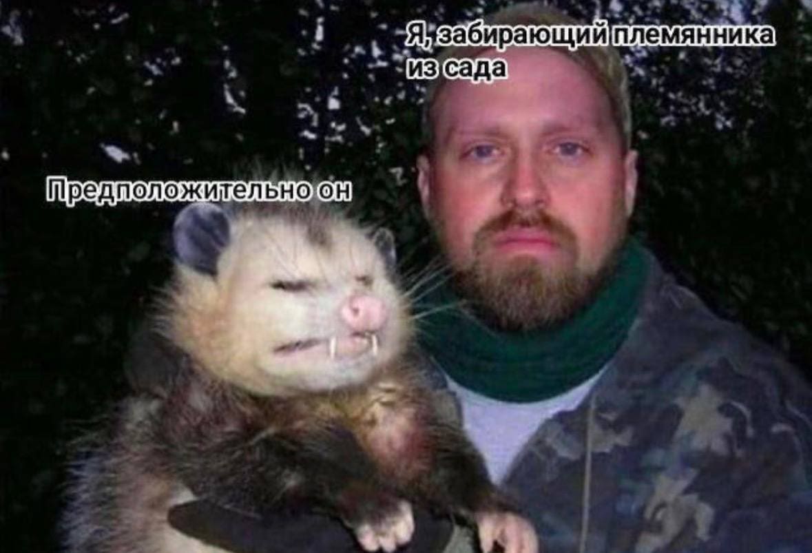 *Я, забирающий племянника из сада*
*Предположительно он*