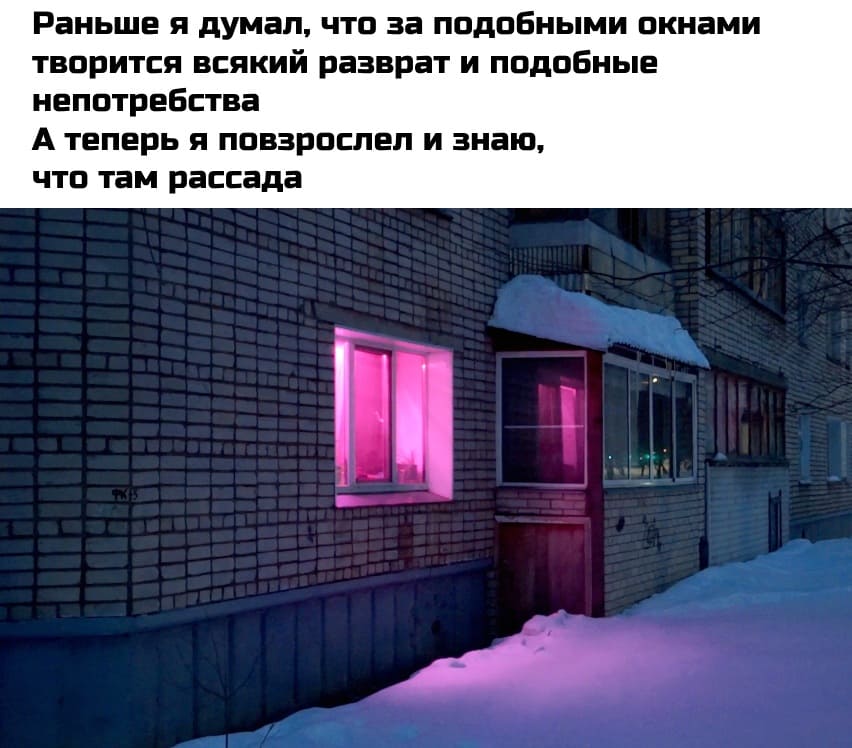 Раньше я думал, что за подобными окнами творится всякий разврат и подобные непотребства. А теперь я повзрослел и знаю, что там рассада.