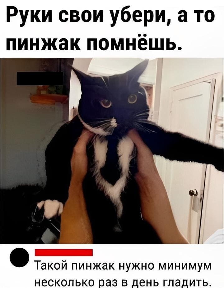 – Руки свои убери, а то пинжак помнёшь!
– Такой пинжак нужно минимум несколько аз в день гладить.