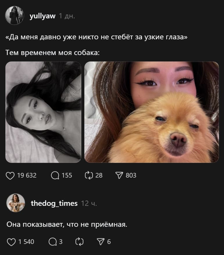 «Да меня давно уже никто не стебёт за узкие глаза»
Тем временем моя собака: показывает, что не приёмная.