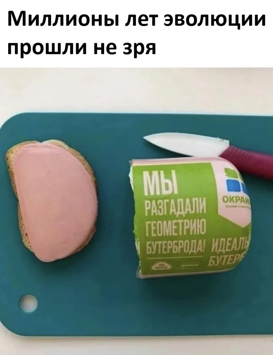 *МЫ разгадали геометрию бутерброда!*
*Миллионы лет эволюции прошли не зря*