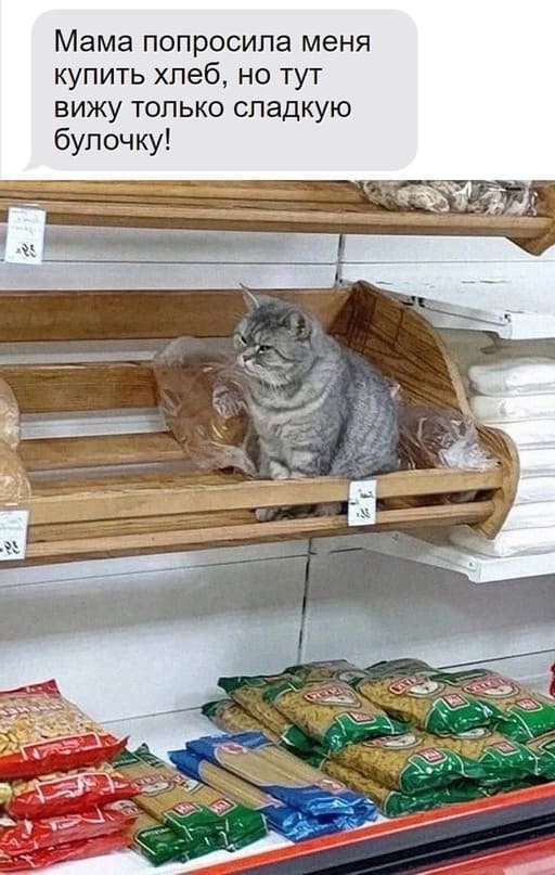 Мама попросила меня купить хлеб, но тут вижу только сладкую булочку!