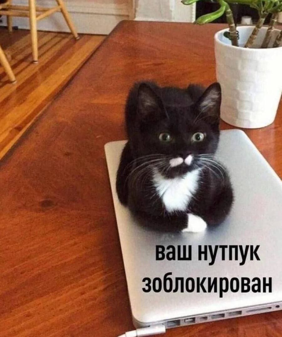 *Ваш ноутбук заблокирован*