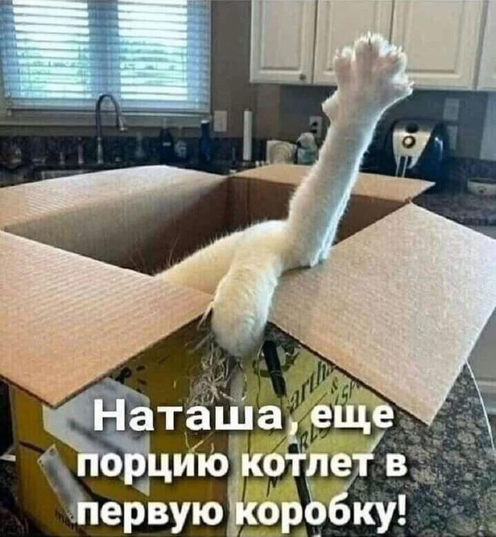 – Наташа, ещё порцию котлет в первую коробку!