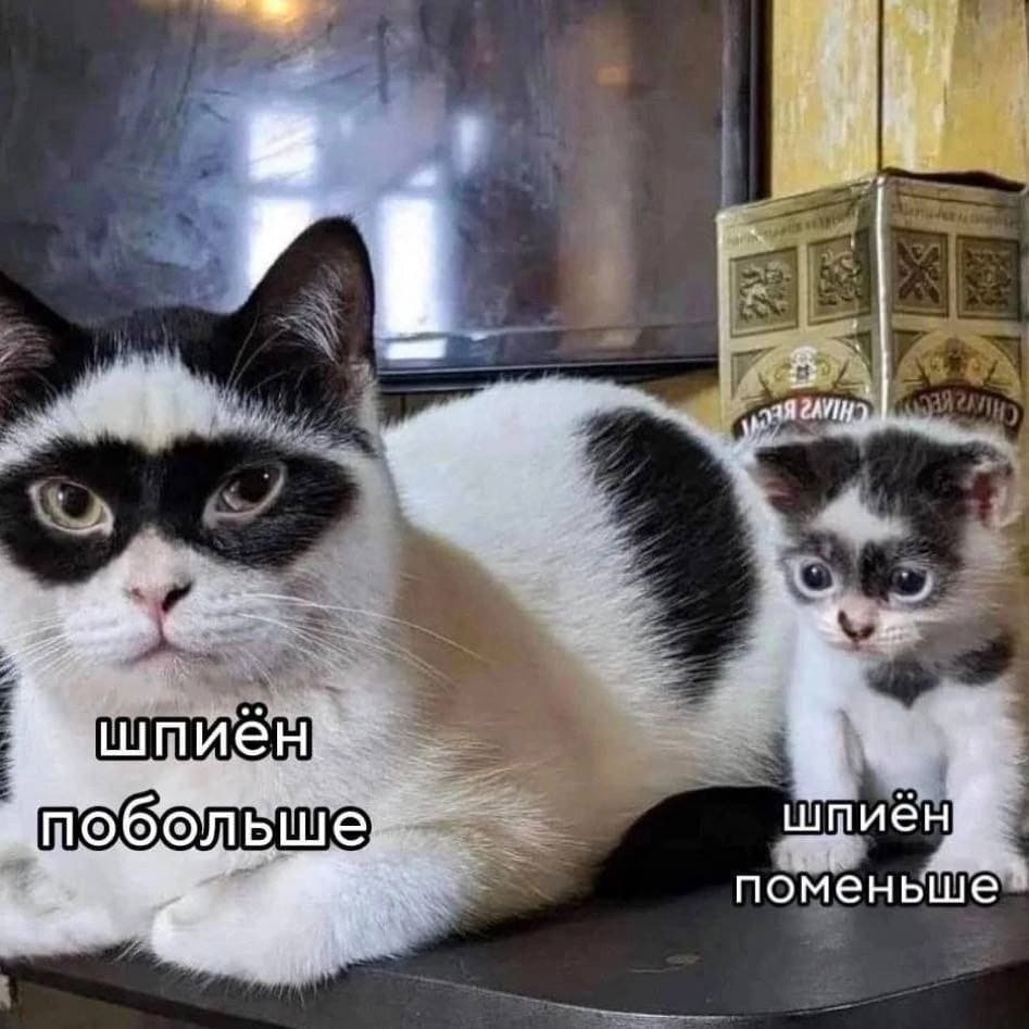 *Шпионское*