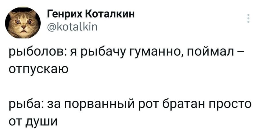 Рыболов: я рыбачу гуманно, поймал — отпускаю.
Рыба: за порванный рот братан просто от души.