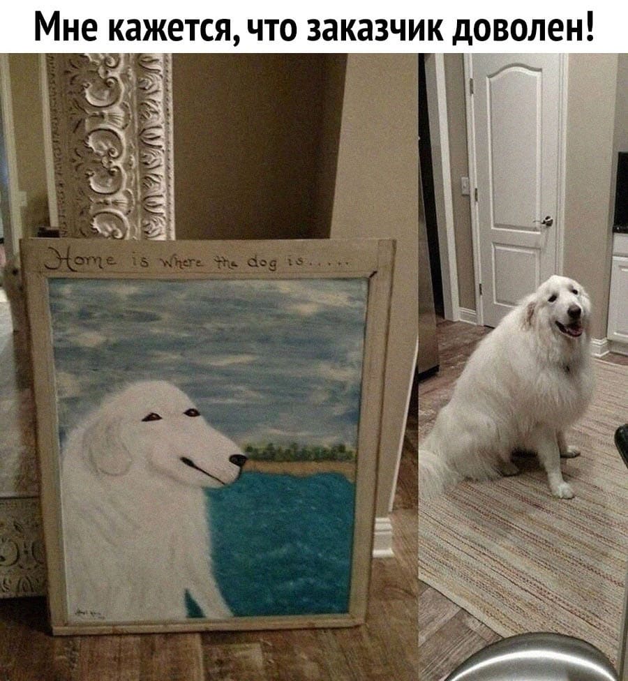 *Мне кажется, что заказчик доволен!*