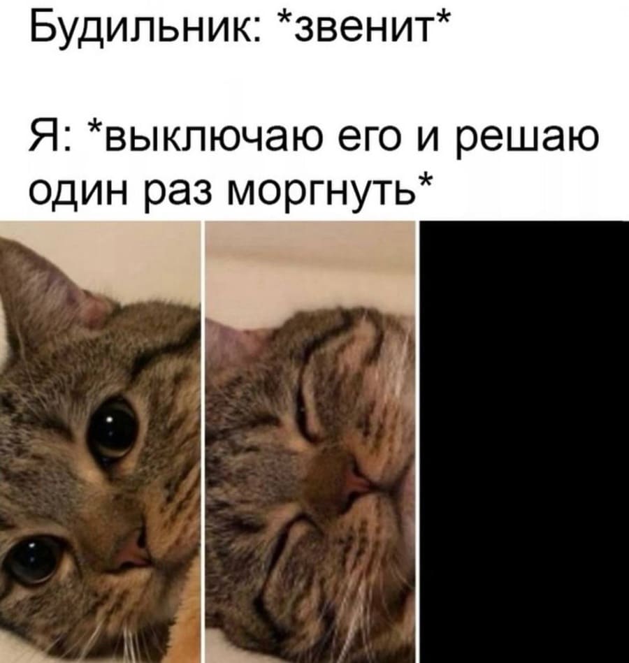 Будильник: *звенит*
Я: *выключаю его и решаю один раз моргнуть*