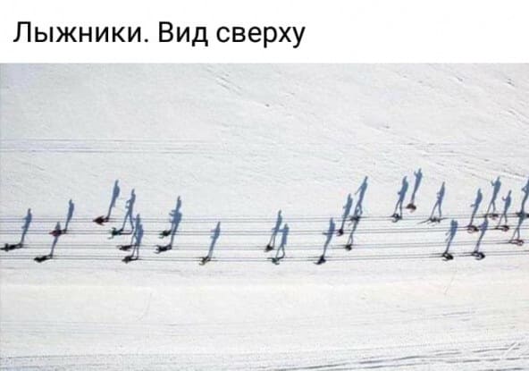 *Лыжники. Вид сверху*