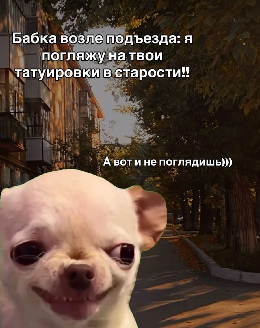 Бабка возле подъезда: я погляжу на твои татуировки в старости!!
А вот и не поглядишь)))