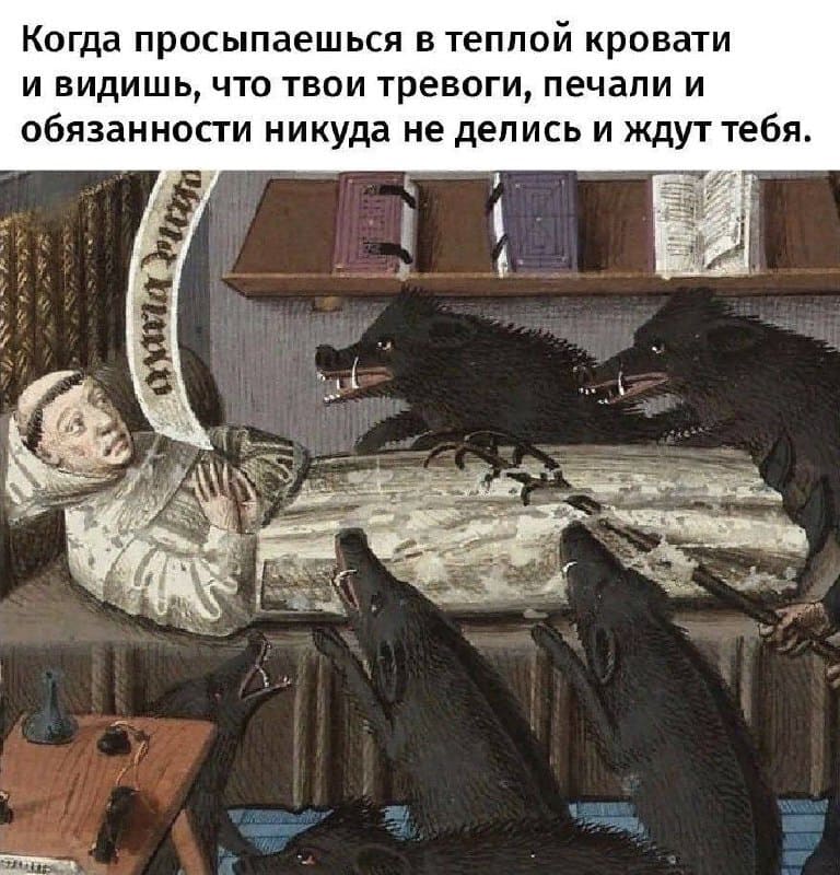 Когда просыпаешься в тёплой кровати и видишь, что твои тревоги, печали и обязанности никуда не делись и ждут тебя.