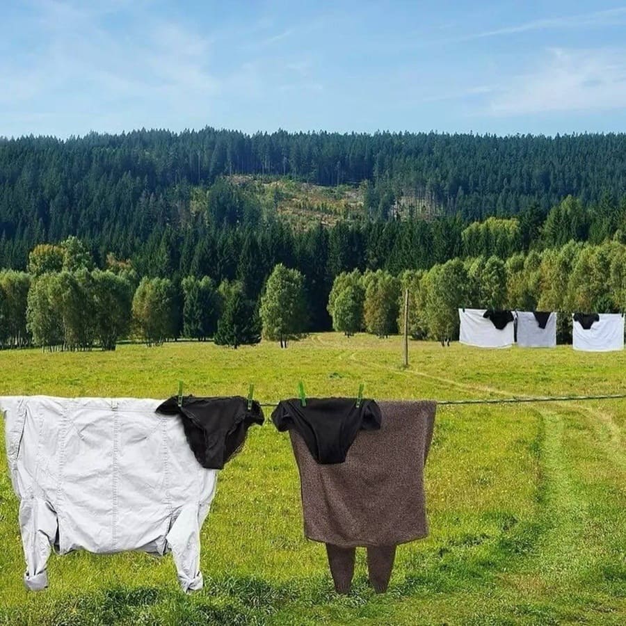 *Вешаем белье так, чтобы это становилось искусством*