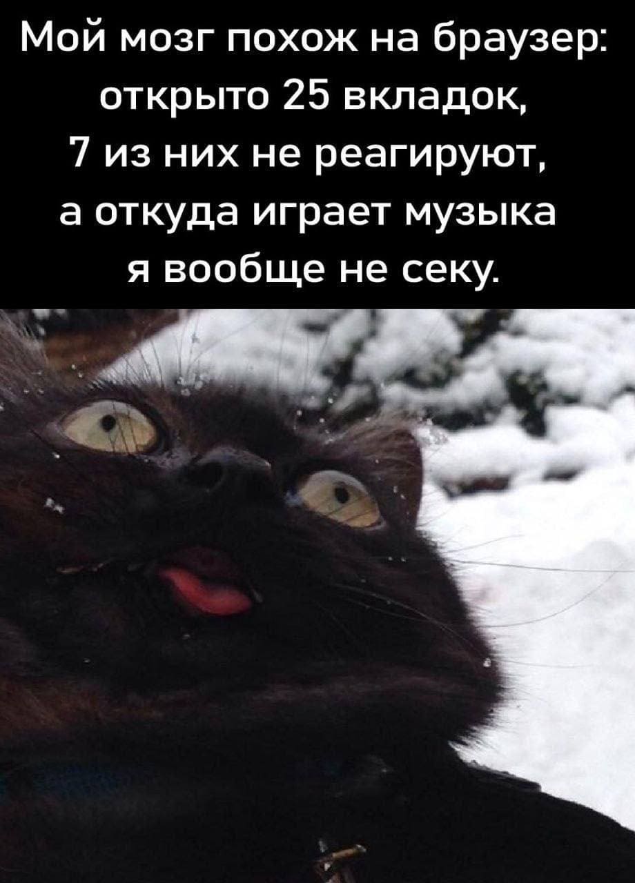 Мой мозг похож на браузер: открыто 25 вкладок, 7 из них не реагируют, а откуда играет музыка я вообще не секу.