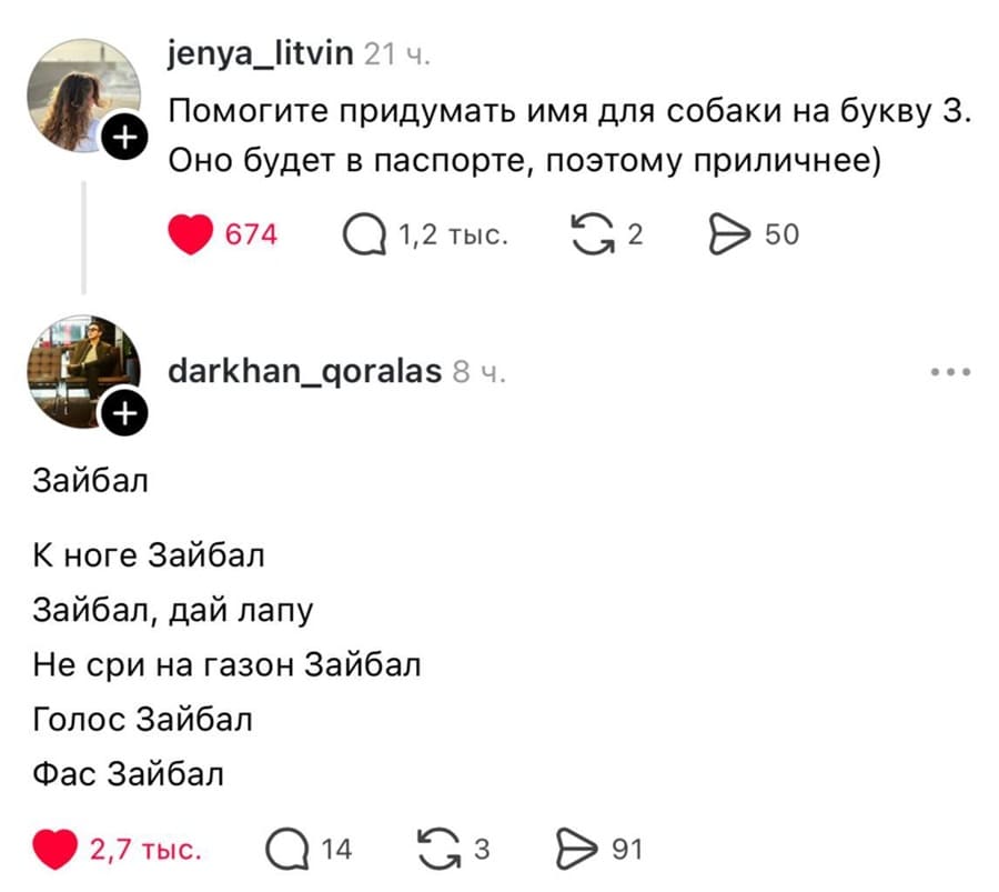 – Помогите придумать имя для собаки на букву З. Оно будет в паспорте, поэтому приличнее.
– Зайбал. К ноге Зайбал. Зайбал, дай лапу. Не сри на газон Зайбал. Голос Зайбал. Фас Зайбал.