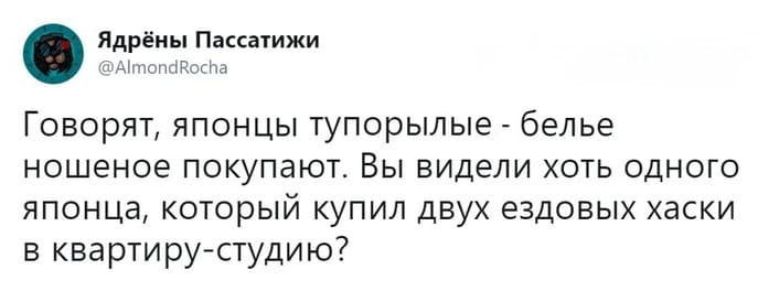 Говорят, японцы тупорылые – белье ношеное покупают. Вы видели хоть одного японца, КОТОРЫЙ купил двух ездовых хаски в квартиру-студию?