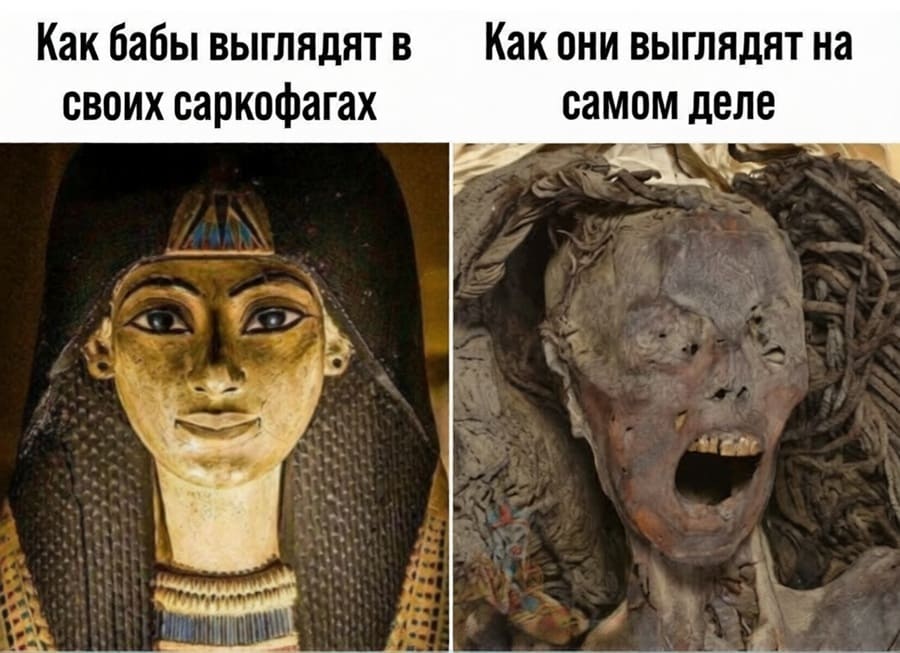 *Как бабы выглядят в своих саркофагах*
*Как они выглядят на самом деле*