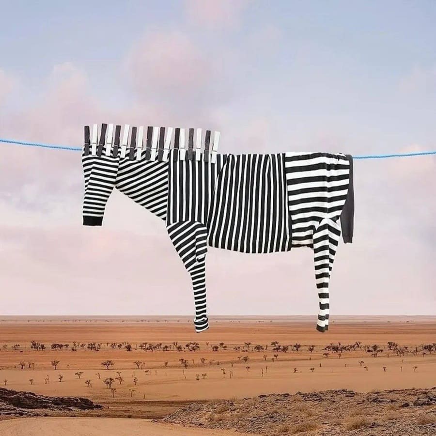 *Вешаем белье так, чтобы это становилось искусством*