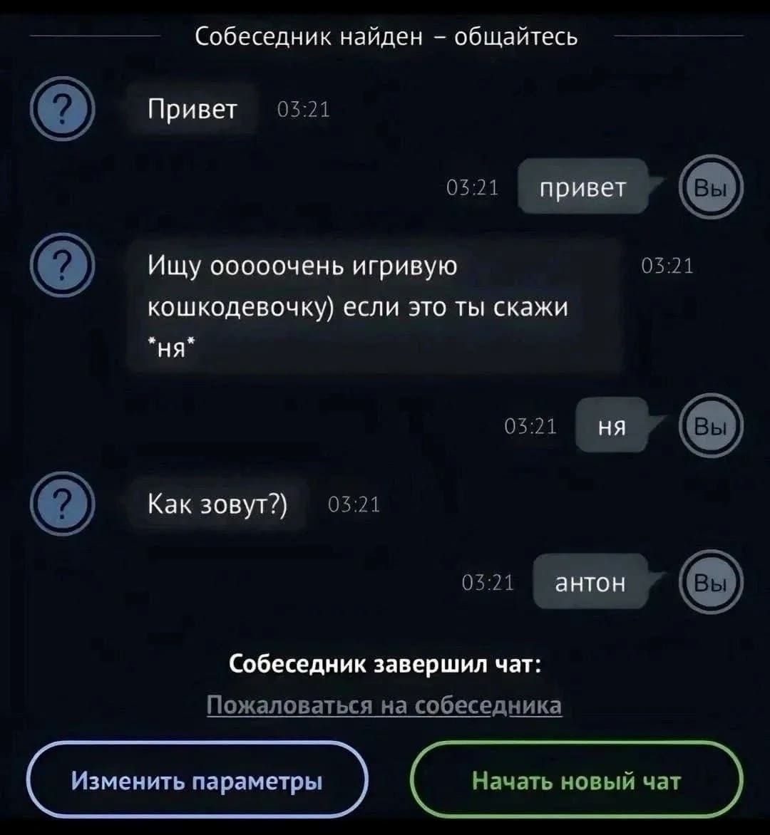 – Привет.
– Привет.
– Ищу ооооочень игривую кошкодевочку) если это ты, скажи «ня».
– Ня.
– Как зовут?)
– Антон.