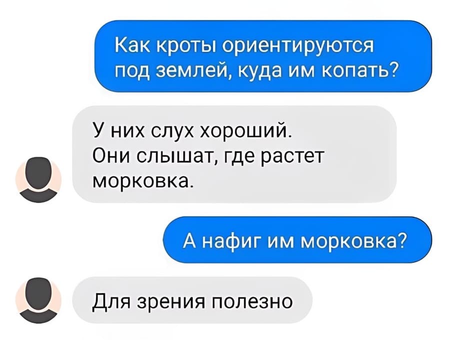 – Как кроты ориентируются под землей, куда им копать?
– У них слух хороший. Они слышат, где растет морковка.
– А нафиг им морковка?
– Для зрения полезно.