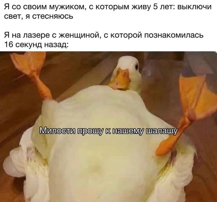 Я со своим мужиком, с которым живу 5 лет: выключи свет, я стесняюсь.
Я на лазере с женщиной, с которой познакомилась 1 6 секунд назад: *Милости прошу к нашему шалашу*