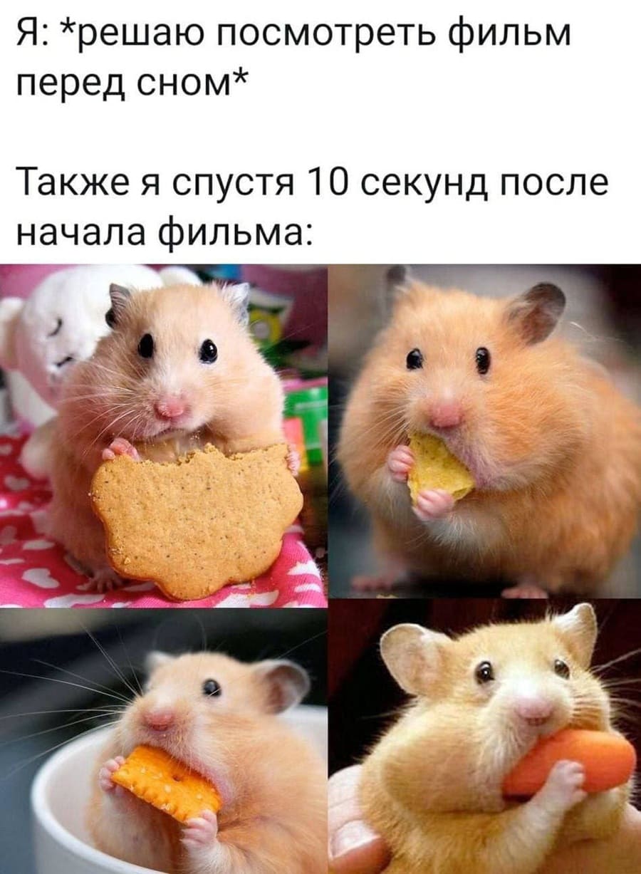 Я: *решаю посмотреть фильм перед сном*
*Также я спустя 10 секунд после начала фильма*