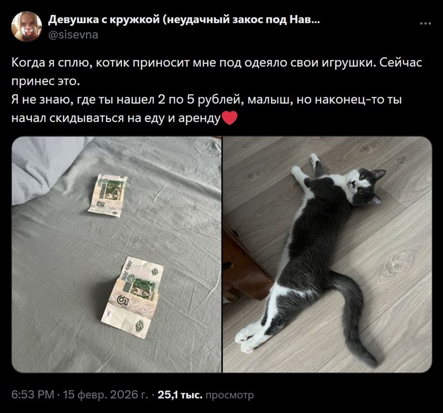 Когда я сплю, котик приносит мне под одеяло свои игрушки. Сейчас принес это. Я не знаю, где ты нашел 2 по 5 рублей, малыш, но наконец-то ты начал скидываться на еду и аренду.