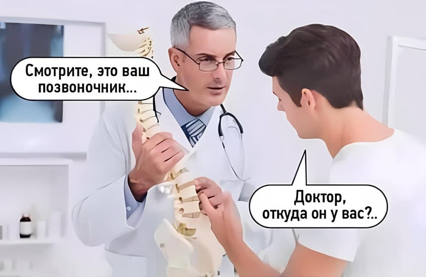 – Смотрите, это ваш позвоночник...
– Доктор, откуда он у вас?..