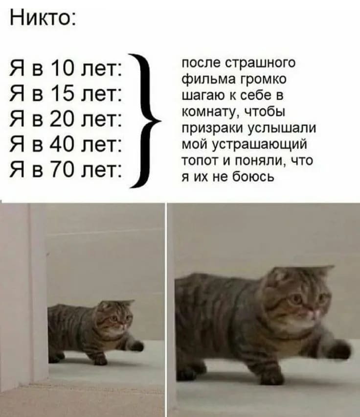 Никто:
Я в 10 лет:
Я в 15 лет:
Я в 20 лет:
Я в 40 лет:
Я в 70 лет:
После страшного фильма громко шагаю к себе в комнату, чтобы призраки услышали мой устрашающий топот и поняли, что я их не боюсь.