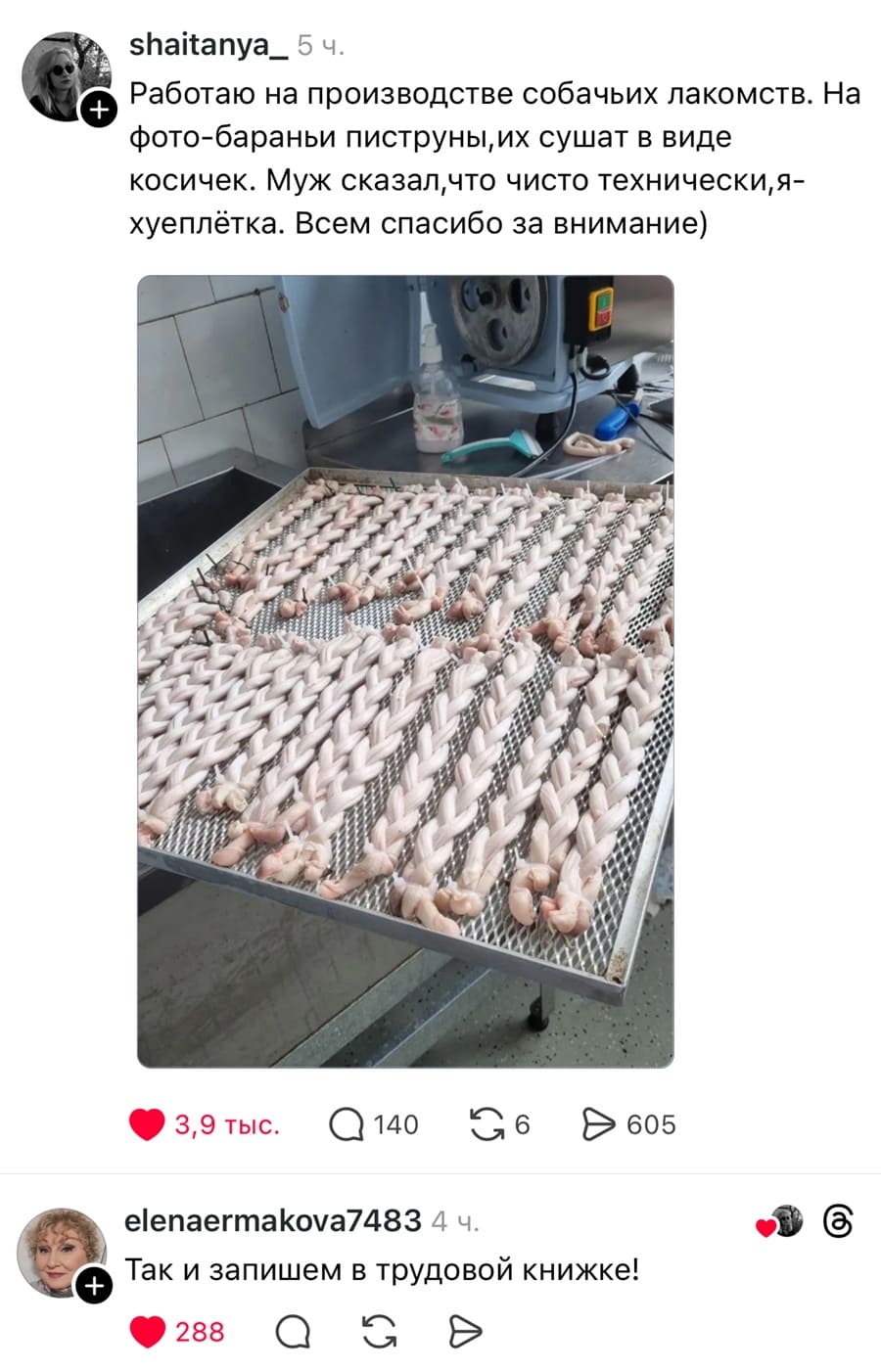 – Работаю на производстве собачьих лакомств. Фото-бараньи пиструны, их сушат в виде косичек. Муж сказал, что чисто технически, я — х*еплётка. Всем спасибо за внимание)
– Так и запишем в трудовой книжке!