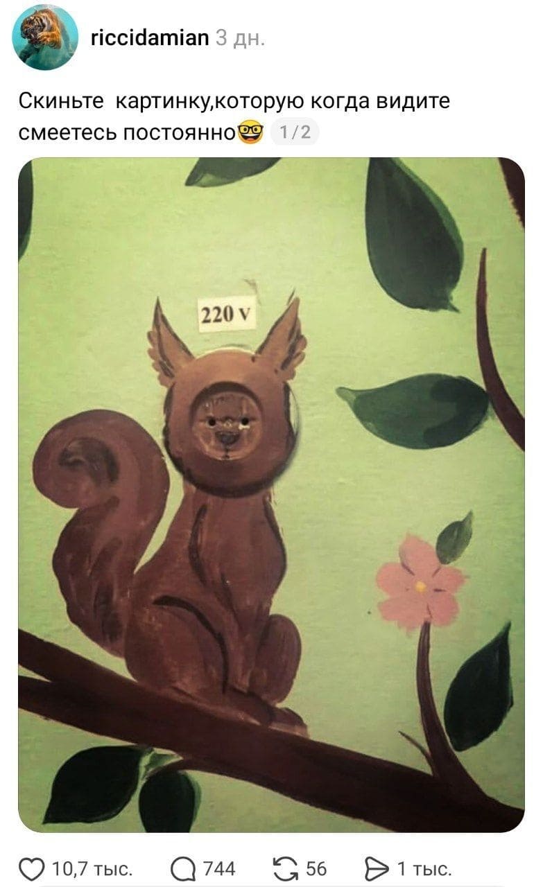 О 1 день назад О
riccidamian З дн.
Подписаться
Скиньте картинку,которую когда видите
смеетесь постоянное