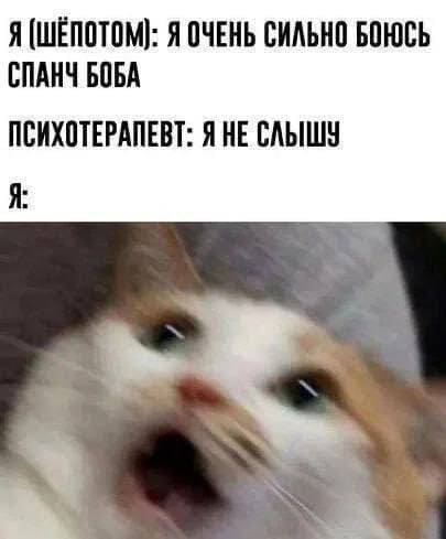 Я (шёпотом): Я очень сильно боюсь Спанч Боба.
Психотерапевт: Я не слышу!
Я: Аааааа!