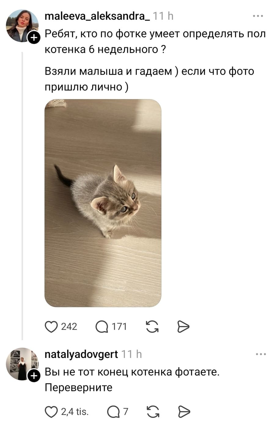 – Ребят, кто по фотке умеет определять пол котенка 6 недельного? Взяли малыша и гадаем ) если что фото пришлю лично. )
– Вы не тот конец котенка фотаете. Переверните.