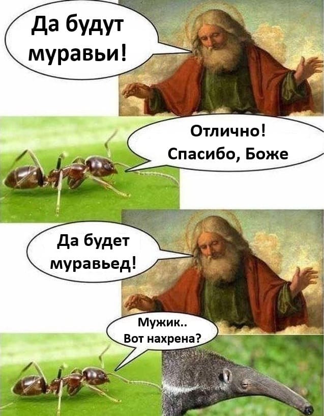 – Да будут муравьи!
– Отлично! Спасибо, Боже!
– Да будет муравьед!
– Мужик.. Вот нахрена?