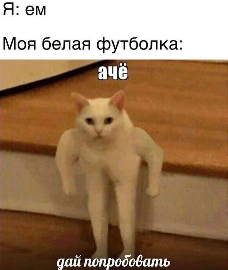 Я: ем.
Моя белая футболка: ачё, дай попробовать!