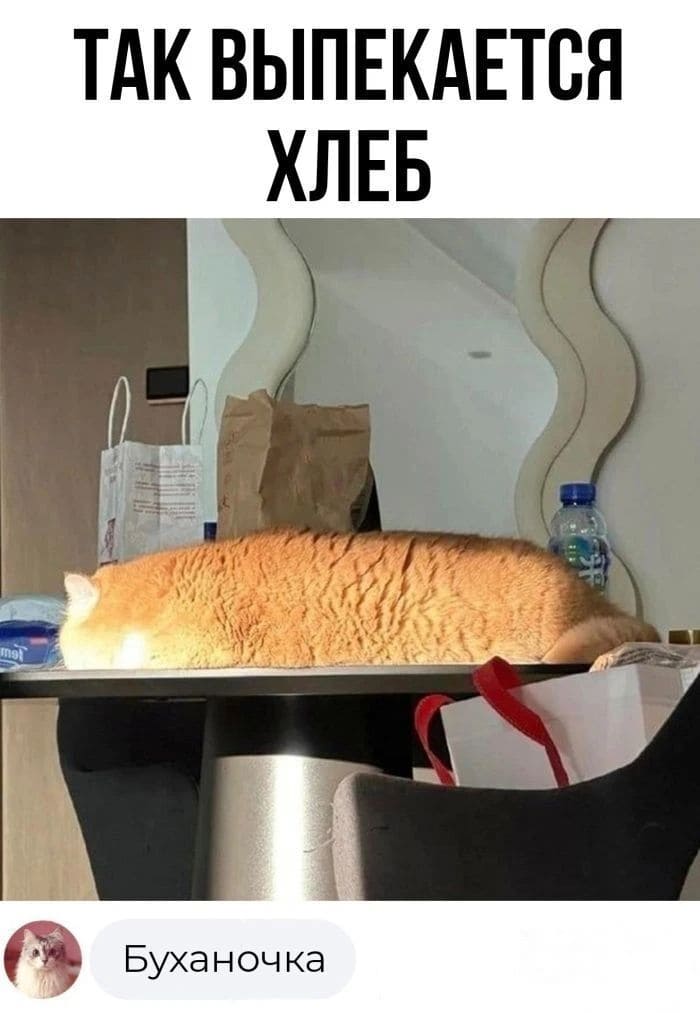 *Так выпекается хлеб*
– Буханочка.