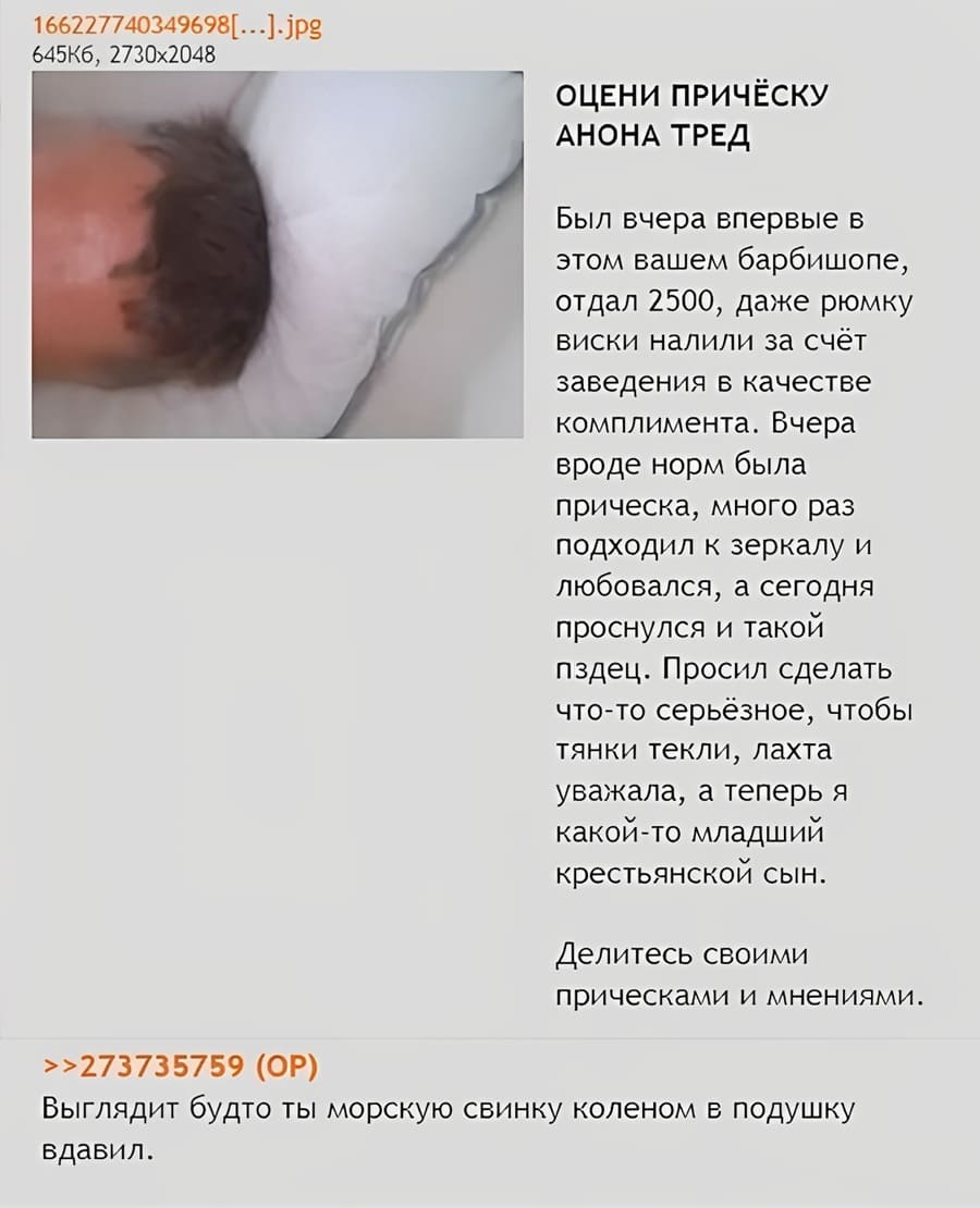 ОЦЕНИ ПРИЧЁСКУ АНОНА ТРЕД!
Был вчера впервые в этом вашем барбишопе, отдал 2500, даже рюмку виски налили за счёт заведения в качестве комплимента. Вчера вроде норм была прическа, много раз подходил к зеркалу и любовался, а сегодня проснулся и такой пздец. Просил сделать что-то серьёзное, чтобы тянки текли, лахта уважала, а теперь я какой-то младший крестьянской сын. Делитесь своими прическами и мнениями.
– Выглядит будто ты морскую свинку коленом в подушку вдавил.