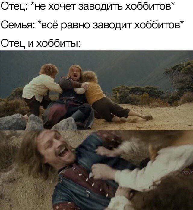 Отец: *не хочет заводить хоббитов*
Семья: *всё равно заводит хоббитов*
*Отец и хоббиты*