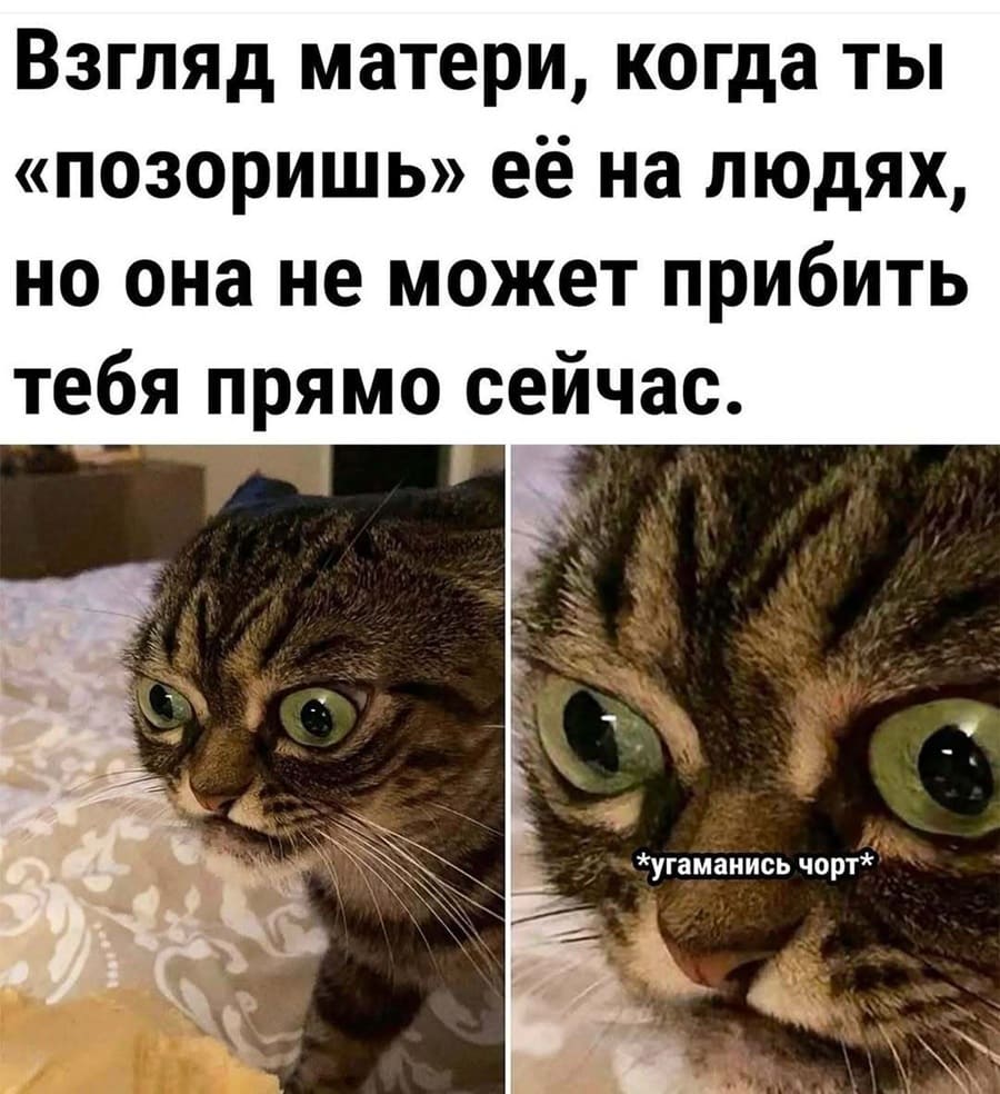 Взгляд матери, когда ты «позоришь» её на людях, но она не может прибить тебя прямо сейчас.
*угаманись чорт*