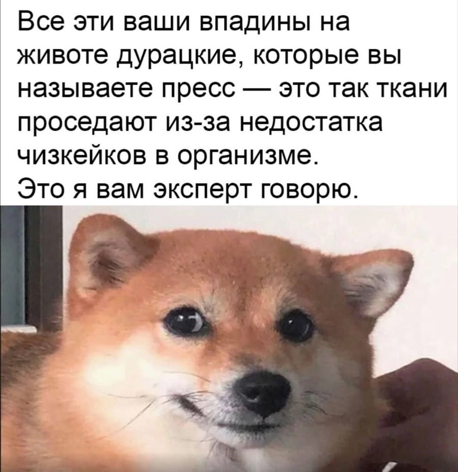 Все эти ваши впадины на животе дурацкие, которые вы называете пресс — это так ткани проседают из-за недостатка чизкейков в организме. Это я вам эксперт говорю.