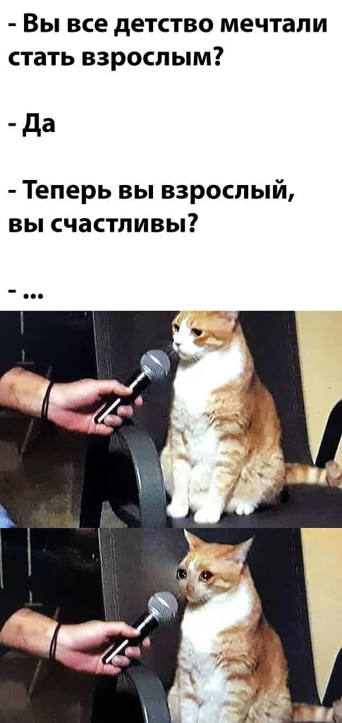 – Вы всё детство мечтали стать взрослым?
– Да.
– Теперь вы взрослый, вы счастливы?