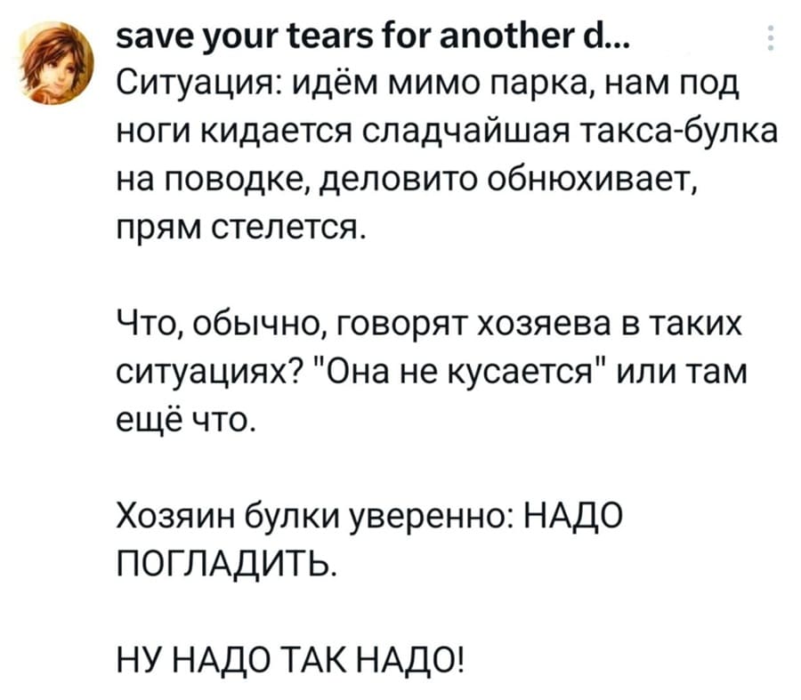 Ситуация: идём мимо парка, нам под ноги кидается сладчайшая такса-булка на поводке, деловито обнюхивает, прям стелется.
Что, обычно, говорят хозяева в таких ситуациях? «Она не кусается» или там
ещё что.
Хозяин булки уверенно: НАДО ПОГЛАДИТЬ.
НУ НАДО ТАК НАДО!